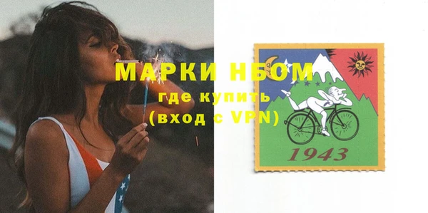 сатива Липки