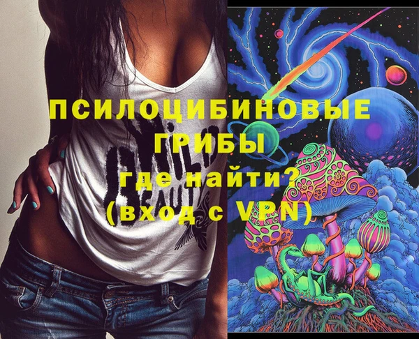 сатива Липки