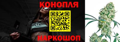 крисы Аргун