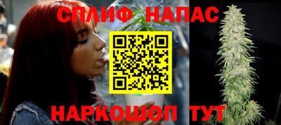 крисы Аргун