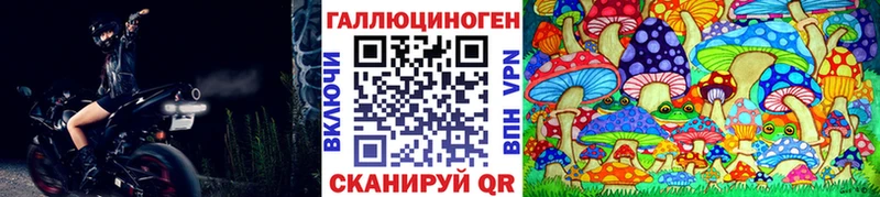 дарк нет формула  Шебекино  Псилоцибиновые грибы MAGIC MUSHROOMS 
