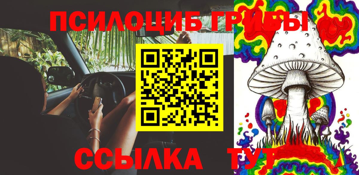 Шебекино  закладка  Вход с VPN  Галлюциногенные грибы Magic Shrooms  Галлюциногенные грибы Magic Shrooms 