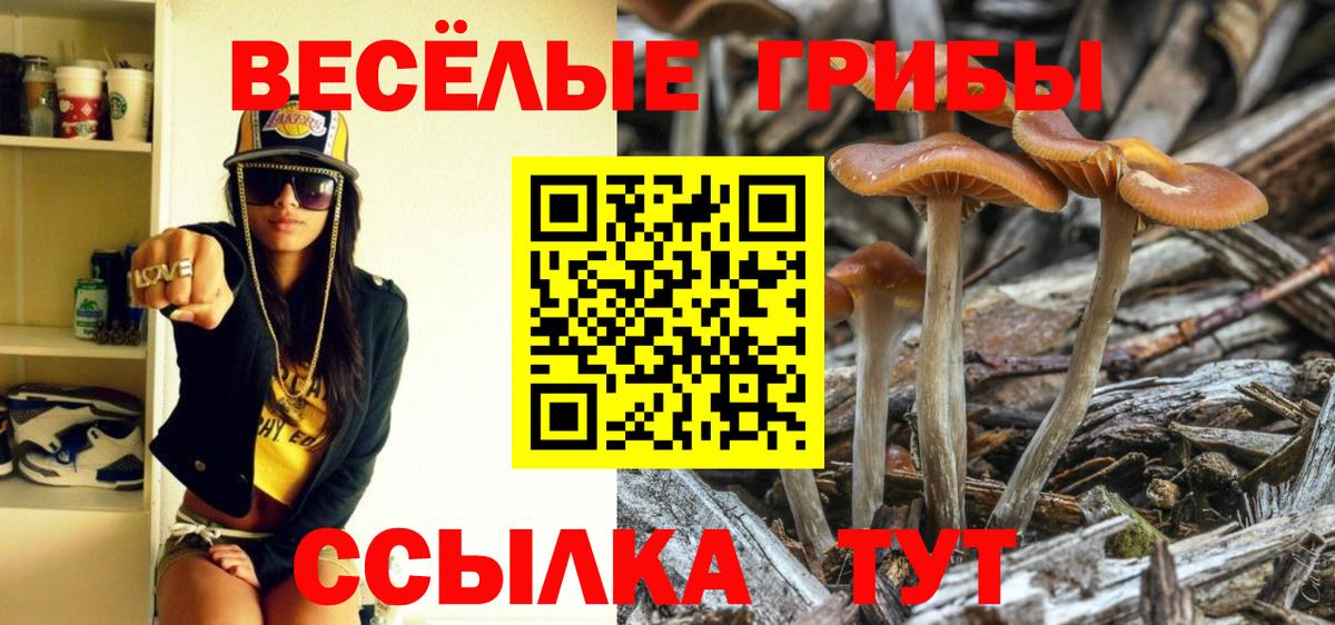 Галлюциногенные грибы GOLDEN TEACHER Шебекино